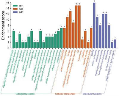 Construction of sRNA Regulatory Network for Magnaporthe oryzae Infecting Rice Based on Multi-Omics Data